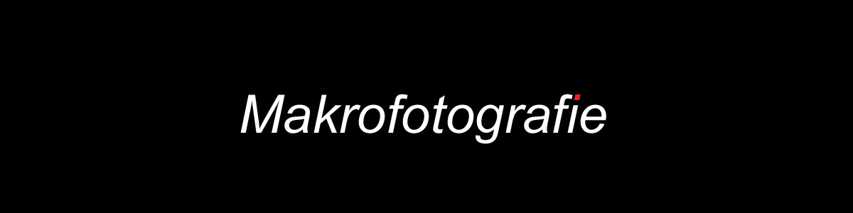 Makrofotografie